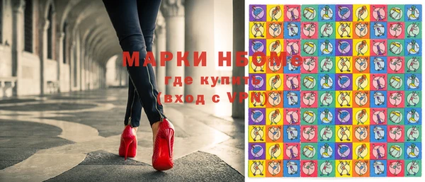 стаф Новый Уренгой